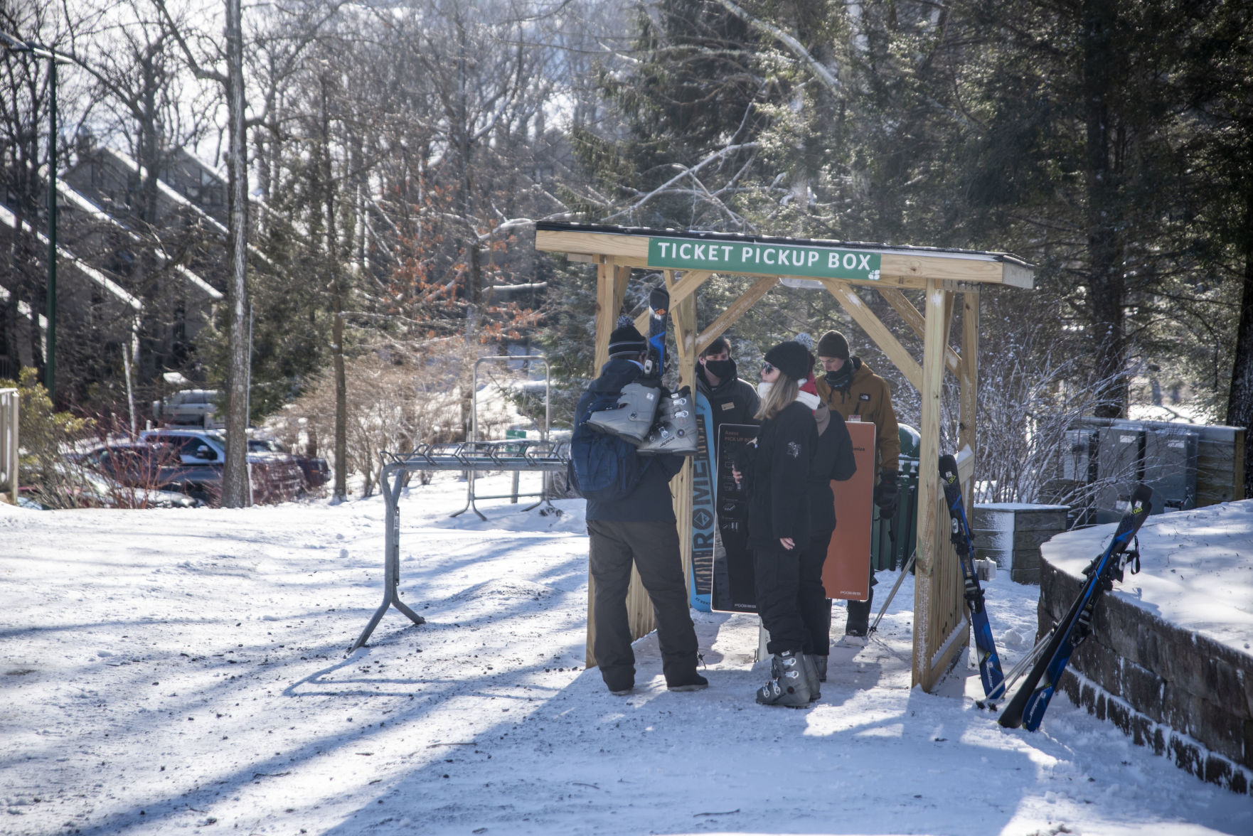 Wintergreen